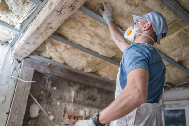 Best Eco-Friendly Insulation in Percy, IL
