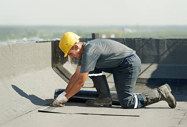 Best Spray Foam Insulation in Percy, IL